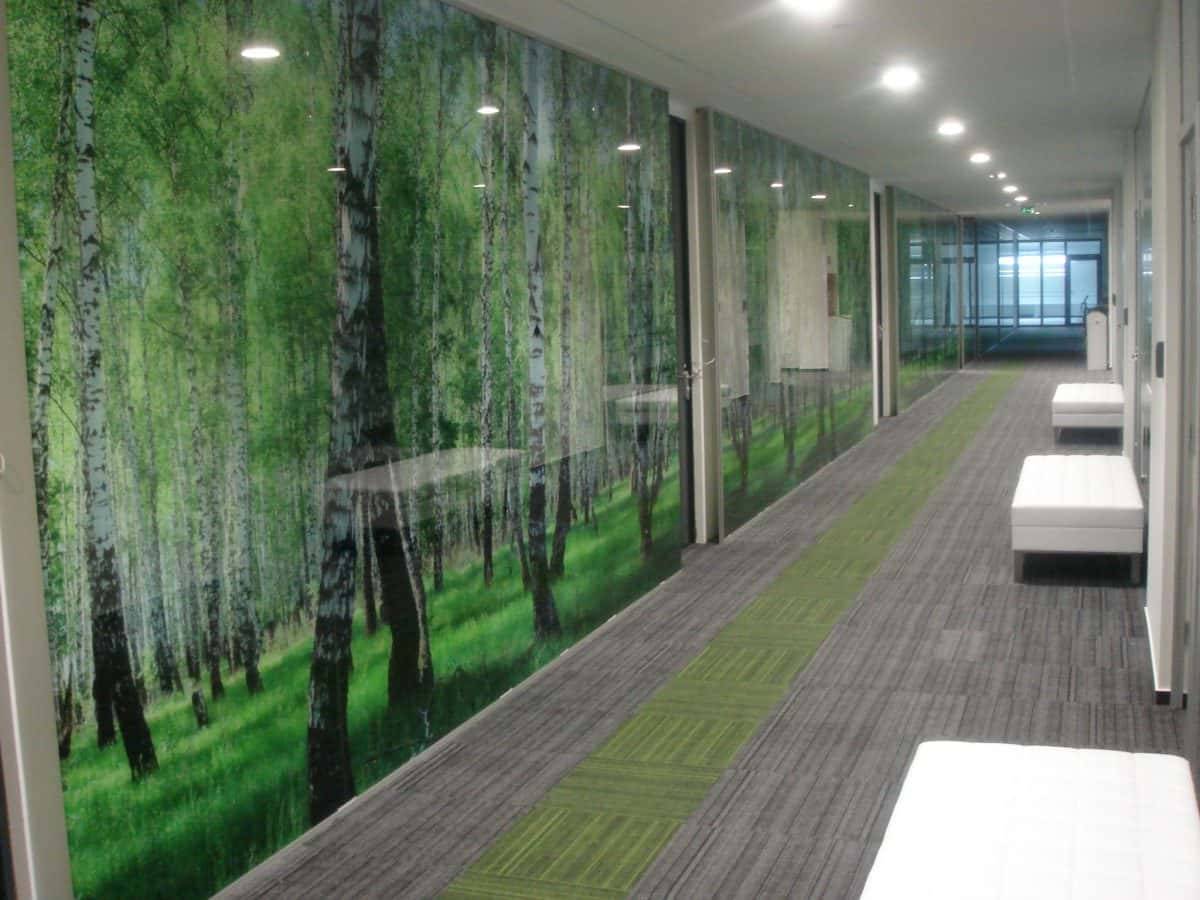 Steklena predelna stena